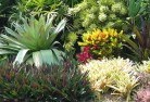 Jackadgeryplanting-garden-and-landscape-design-24.jpg; ?>