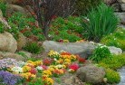 Jackadgeryplanting-garden-and-landscape-design-69.jpg; ?>